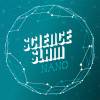 Science Slam Nano