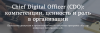 Chief Digital Officer (CDO): компетенции, ценность и роль в организации