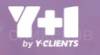 Y+1