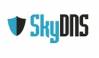 Рост продаж и дохода вместе со SkyDNS