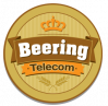 Beering Telecom