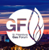 Петербургский международный газовый форум 2019