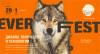 Everfest 2020