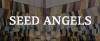 Seed Angels 2020 (перенесены)