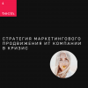 Стратегия маркетингового продвижения ИТ компании в кризис