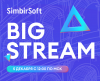 Big Stream от международной IT-компании SimbirSoft