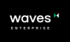 Waves Enterprise Conference 2020