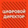Цифровой Директор: персонализация в информационных системах