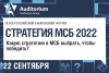 Стратегия МСБ 2022