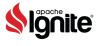 Moscow Apache Ignite Meetup #9
