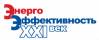 Энергоэффективность.XXI век. Архитектура. Инженерия. Цифровизация. Экология 2021