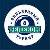 IV Всероссийский теле­коммуника­ционный бильярдный турнир