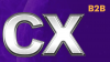 CX B2B
