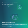 WhatsApp для бизнеса: что изменилось в 2023 году и как избежать лишних расходов