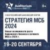 Стратегия МСБ 2024