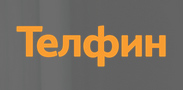 Телфин: 20 лет на рынке