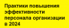 Практики повышения эффективности персонала организации в 2024