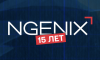 NGENIX Icebreaker 2023