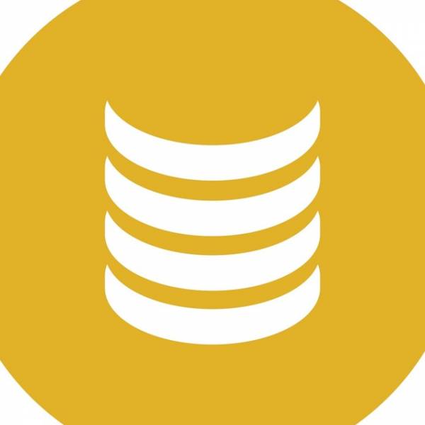 Быстрее. Лучше. Эффективнее. Какие цифровые навыки улучшать сотрудникам в 2024 году?