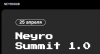 Neyro  Summit 1.0