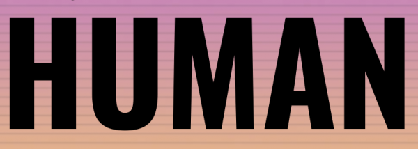 Human: Обучение персонала 2024