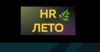 HR ЛЕТО 2024