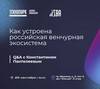 Как устроена российская венчурная экосистема: Q&A с Константином Пантелеевым
