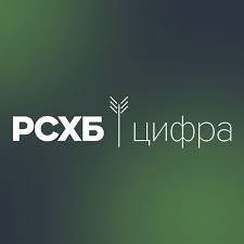 RSHB DA Meetup: Качество данных и Data Vault 2.0 в действии