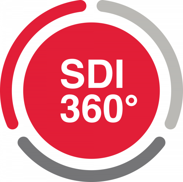 Презентация исследования «Цифровая зрелость страховых компаний – 2024»