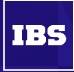 Аналитический центр IBS: комплексные инструменты для принятия стратегических решений