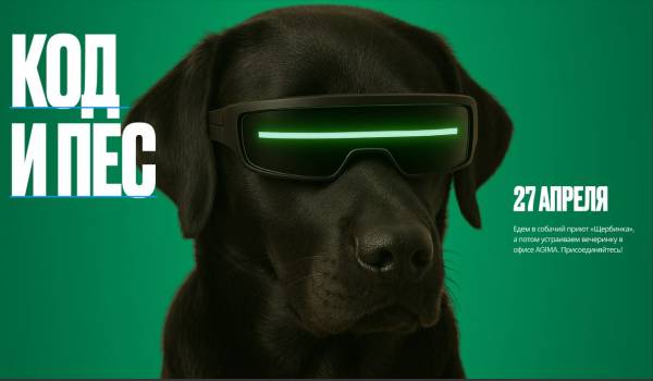 Код и Пёс
