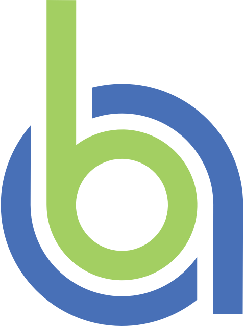 Brand Analytics Conference 2025