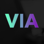 Практикум VIA