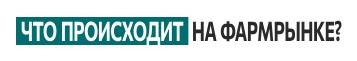 Что происходит на фармацевтическом рынке? Кросс-функциональное взаимодействие в цифровом контуре 2025