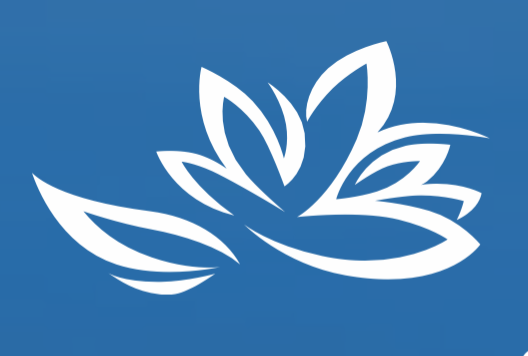 Восточный экономический форум (ВЭФ 2025)