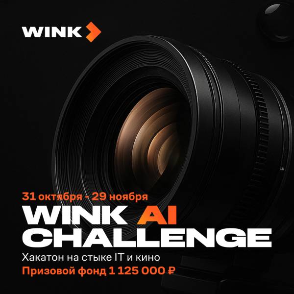 Wink AI Challenge