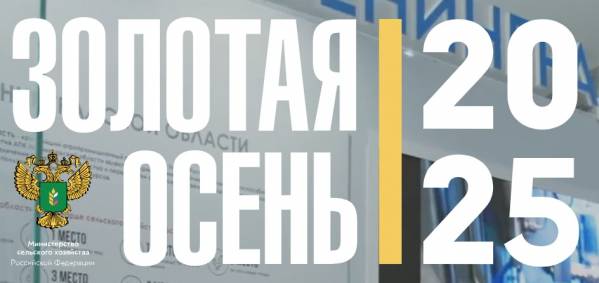 Золотая осень 2025