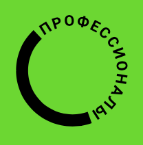 Профессионалы 2025. Финал