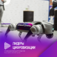 Лидеры цифровизации - 2026 (Digital Leaders)