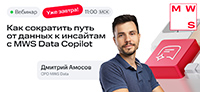 Как сократить путь от данных к инсайтам с MWS Data Copilot