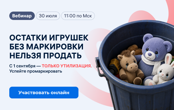 Маркировка детских игрушек без ошибок: успеть к 1 сентября