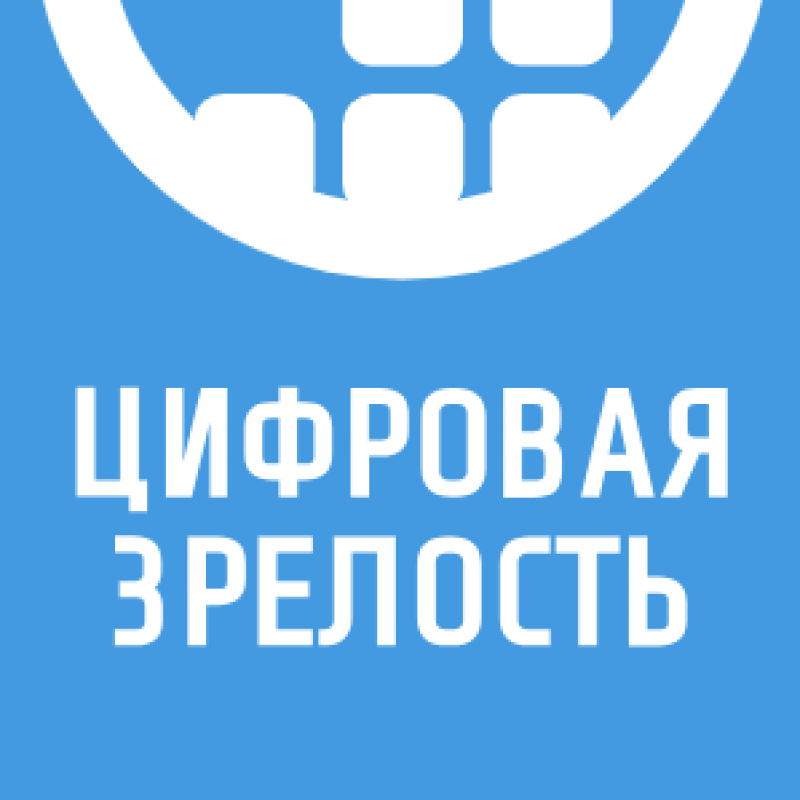 Цифровая зрелость