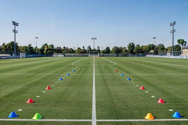 Timeweb Cloud выступит генеральным партнером Чемпионата России по алтимату