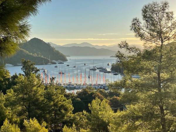 Команда «Импульс Телеком» стала абсолютным чемпионом международной парусной регаты Orange Cup 2025