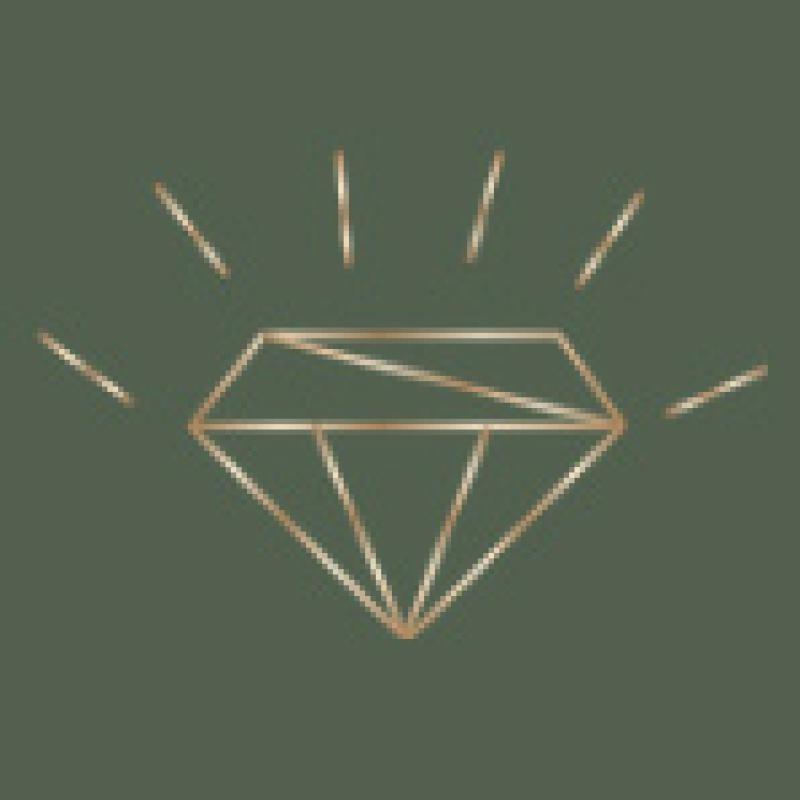 Лучшие таланты