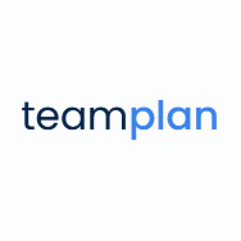 Team Plan (Тимплан)
