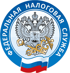 Федеральная налоговая служба (ФНС)