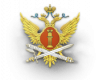 Федеральная Служба Исполнения Наказаний (ФСИН России)