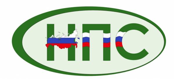 Национальный платежный совет (НПС)