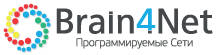 Brain4Net